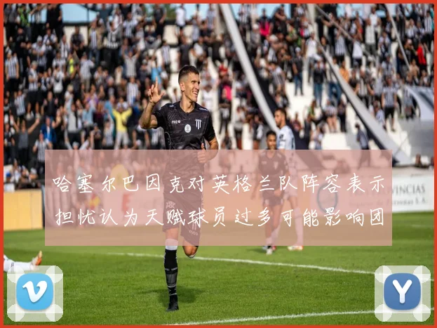 哈塞尔巴因克对英格兰队阵容表示担忧认为天赋球员过多可能影响团队合作