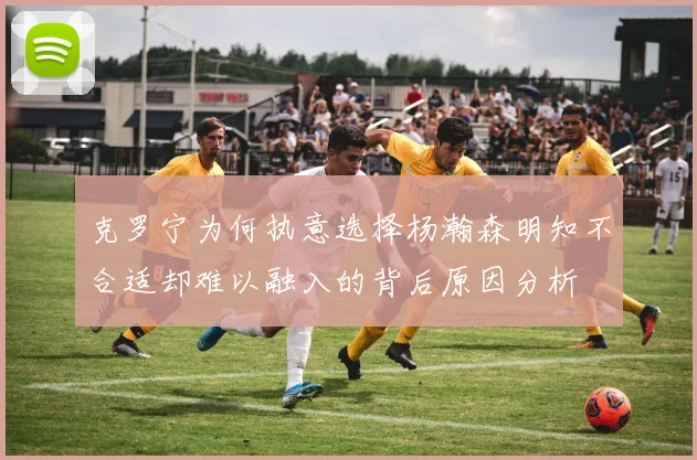 克罗宁为何执意选择杨瀚森明知不合适却难以融入的背后原因分析